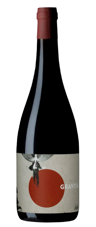 Gravità
