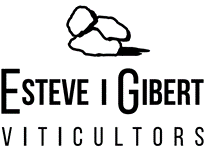 Esteve i Gibert