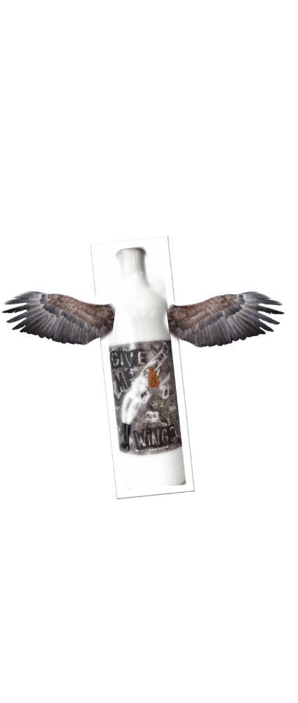Give Me Wings